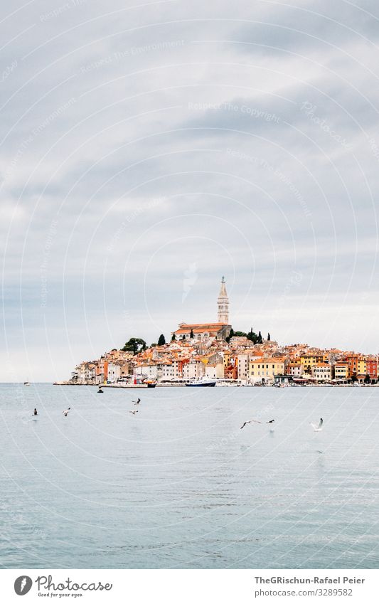 Rovinj Stadt grau orange schwarz Kroatien Meer Vogel Möwe Kirche Aussicht Reisefotografie Wolken Farbfoto Außenaufnahme Menschenleer Textfreiraum oben