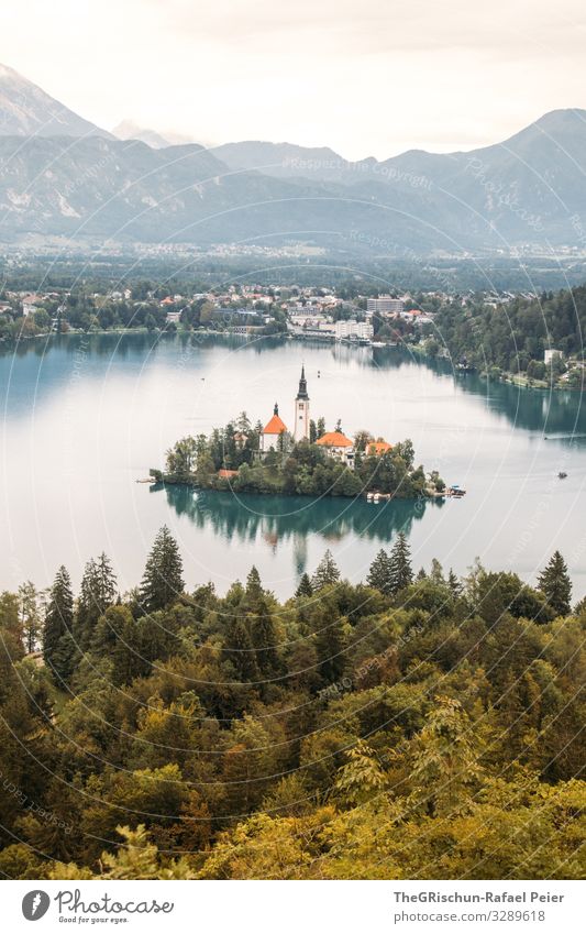Lake Bled Kleinstadt grün weiß Slowenien lake bled bleder see Kirche Reflexion & Spiegelung Insel Tourismus Ferien & Urlaub & Reisen Wald See Berge u. Gebirge