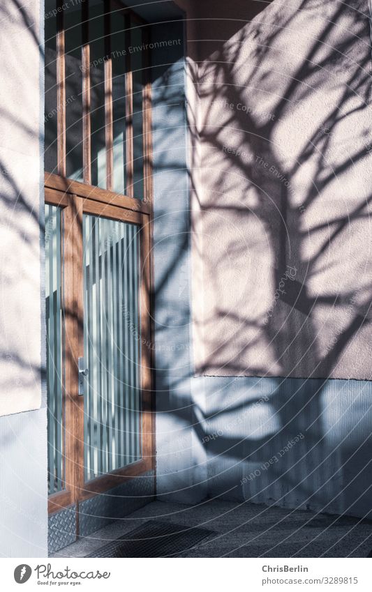 Schatten von einem Baum auf der Hauswand Architektur Stadt Gebäude Wohnhaus Mauer Wand Fassade Tür Stein Glas Häusliches Leben ästhetisch authentisch Sicherheit
