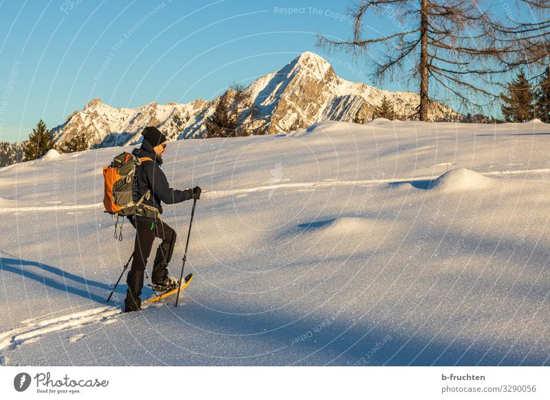 Schneeschuhwanderung Gesundheit Leben Freizeit & Hobby Ferien & Urlaub & Reisen Tourismus Winter Winterurlaub Berge u. Gebirge wandern Sport Mann Erwachsene 1