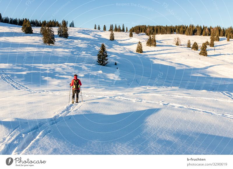 Winterwandern mit Schneeschuhen Gesundheit Leben Wohlgefühl Zufriedenheit Ferien & Urlaub & Reisen Tourismus Winterurlaub Berge u. Gebirge Frau Erwachsene 1