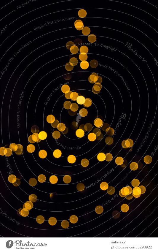 Lichterbaum Weihnachten & Advent Silvester u. Neujahr leuchten Wärme Stimmung Gold Lichterkette Lichtkugel Weihnachtsbaum Farbfoto Außenaufnahme Menschenleer