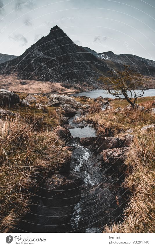 Der Berg Tryfan Wales Großbritannien Snowdonia Fels Bach Wasser Stein Landschaft rau Natur Felsen Tag Himmel Urelemente fließen düster dunkel