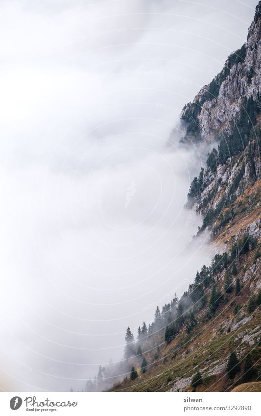 Nebel an der Felswand Ausflug Abenteuer Berge u. Gebirge wandern Natur Landschaft Herbst Felsen Alpen berühren alt ästhetisch gigantisch kalt schön Spitze