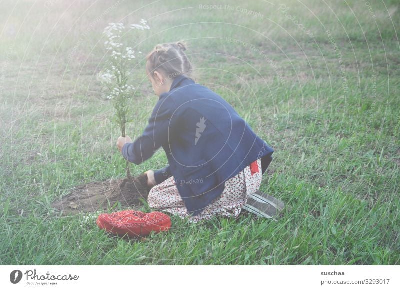 mädchen pflanzt einen blumenbaum mitten auf einer wiese Kind Mädchen Gras Wiese Blume Wiesenblume pflanzen eingraben Gartenarbeit Natur Sommer Pflanze Frühling