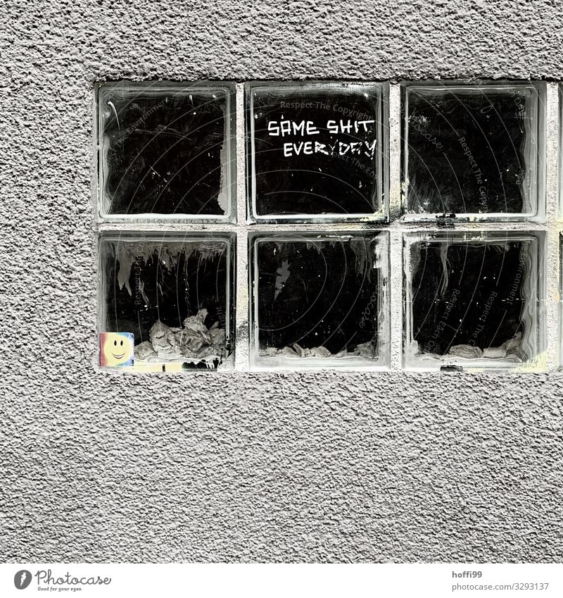 Glasbausteine mit Spruch des Tages Stadt Mauer Wand Fenster Stein Zeichen Schriftzeichen Graffiti bedrohlich dreckig dunkel hässlich trist grau schwarz