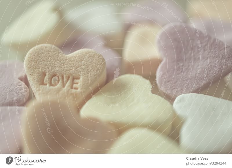 Zuckersüsse Liebe Love Süßwaren rosa Gefühle Romantik träumen Farbfoto Detailaufnahme