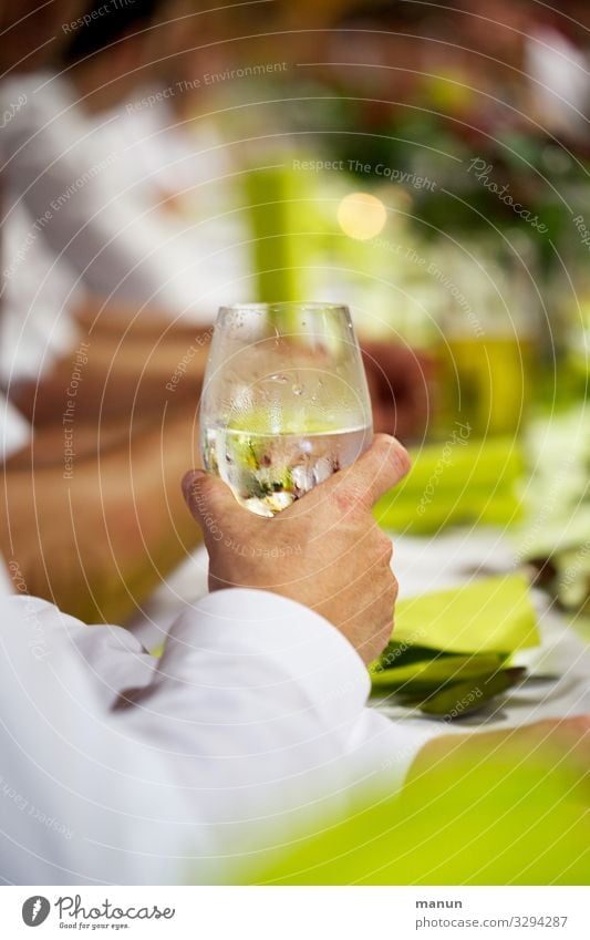 glasklar Getränk trinken Erfrischungsgetränk Trinkwasser Alkohol Wein Glas Lifestyle Gesundheit Gesunde Ernährung Restaurant ausgehen Feste & Feiern Hochzeit