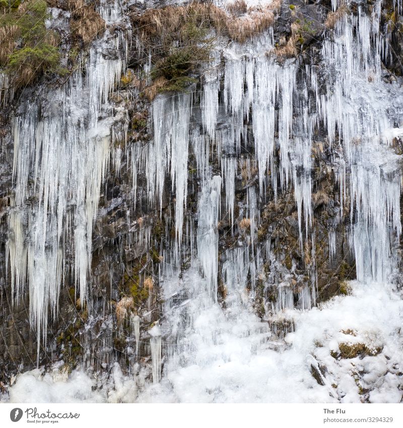 Frostige Stimmung Natur Pflanze Klima Eis Felsen Stein frieren kalt stachelig braun weiß Eiszapfen Eisfall Winter Alpen Felswand hängen Farbfoto Gedeckte Farben