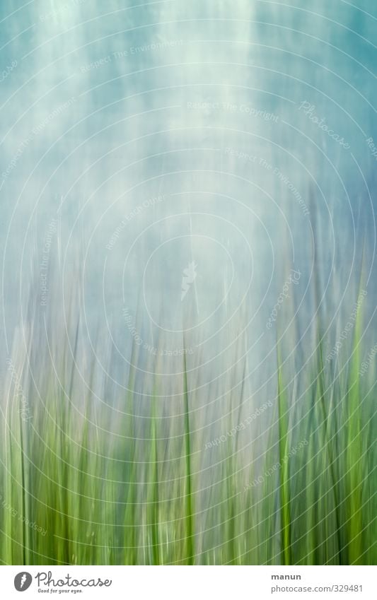 grafisch / geschüttelt, nicht gerührt Kunst Kunstwerk Gemälde Natur Himmel Frühling Sommer Gras Wiese Coolness natürlich verrückt blau grün bizarr Design