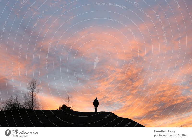 Caspar David Friedrich heute Mann Erwachsene Körper 1 Mensch 45-60 Jahre Natur Landschaft Himmel Wolken Sonnenaufgang Sonnenuntergang Winter Hügel Gipfel