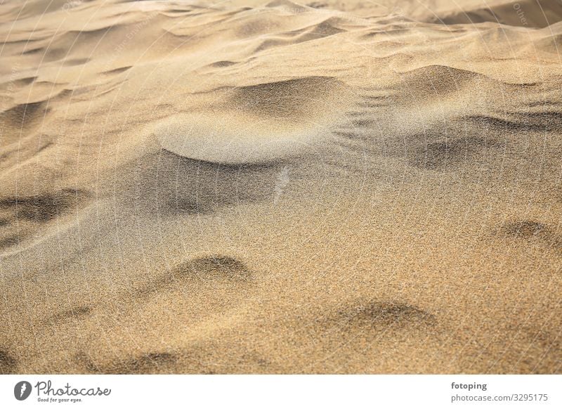 Maspalomas Ferien & Urlaub & Reisen Tourismus Ausflug Strand Insel Natur Landschaft Sand Wind Wüste Sehenswürdigkeit trocken Ausflugsziel Düne Dünen Europa
