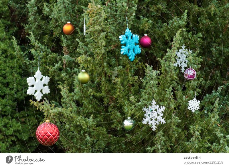 Weihnachtsdekoration Weihnachten & Advent Stern (Symbol) Schneeflocke Dekoration & Verzierung Schmuck Baumschmuck Tanne Fichte Kiefer Weihnachtsbaum