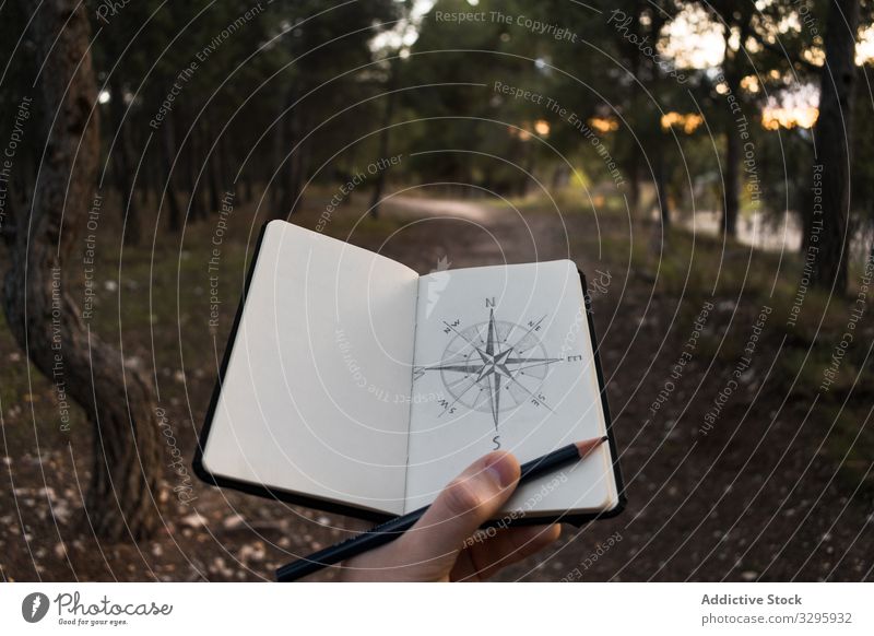Pflanzenreisende, die einen Kompass über die Natur ziehen Reisender Wald Landschaft zeichnen Skizze Notebook Sonnenuntergang Regie Abend Ausflug Urlaub