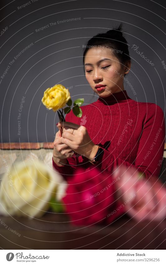 Junge Asiatin sitzt im Geschäft und arbeitet mit Rosen Frau Floristik Arbeit asiatisch Blume Roséwein Brötchen jung ethnisch Chinesisch Japanisch Kultur