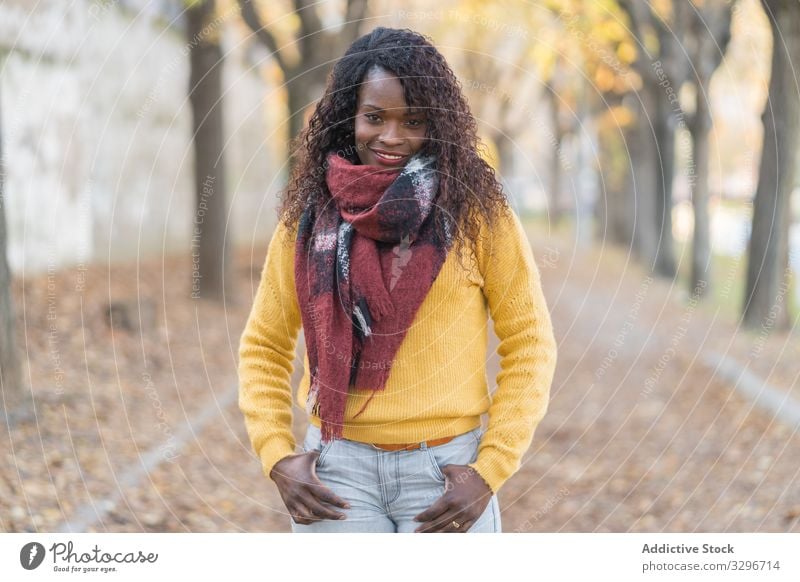 Schwarze Frau steht in einer Gasse im Park Blätter Straße Herbst Natur stylisch schwarz Afroamerikaner natürlich Freiheit Energie gelb Inspiration Mode Dame