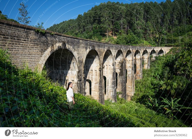 Junge Frau genießt die Landschaft der alten Brücke grün Wald antik asiatisch Brücke mit neun Bögen schäbig ella Sri Lanka touristisch reisen Transport