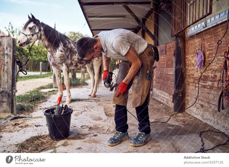 Schmiedejunge wechselt Hufeisen Tier Stehen Pferd Tierarzt Veterinär Gesundheitswesen Sonnenlicht Körper Konzentration Hengst Sattelkammer liebevoll Haustier