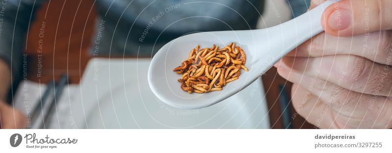 Mann zeigt einen Löffel voller Würmer Ernährung Essen Mittagessen Abendessen Diät Lifestyle exotisch Restaurant Internet Mensch Erwachsene Wurm authentisch