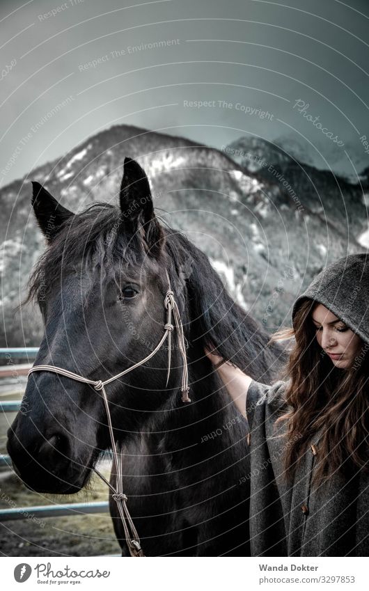 Woman with Horse in a mystical, winter Landscape feminin Frau Erwachsene 1 Mensch 18-30 Jahre Jugendliche Natur Landschaft Winter Schnee Alpen Berge u. Gebirge