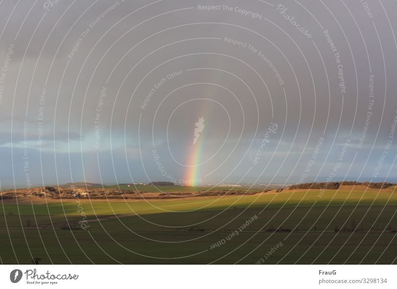 Am Ende des Regenbogens | 200 Natur Landschaft Himmel Sonnenlicht Winter Wetter Feld Hügel Menschenleer leuchten Licht Schatten Spektralfarbe Farbfoto