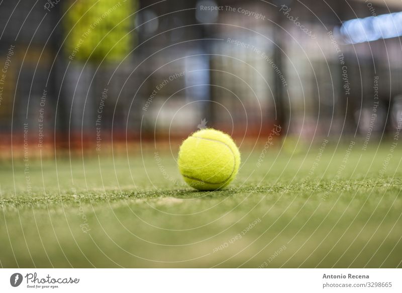 Ball Erholung Sport Gras gelb Paddeltennis Padel Tennis Objektfotografie Rasen Netz einzelne Kugel Hintergrund Fokus im Vordergrund Single Gerichtsgebäude