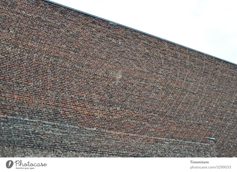 Eine Menge von Ziegelsteinen sinnvoll zusammengefügt Mauer Wand Hauswand Ziegelsteinmauer Gebäude alt trist Stadt Hinterhof Architektur Menschenleer Mauerwerk