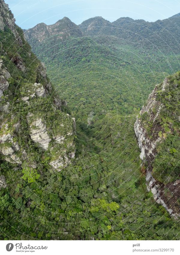 overgrown mountain scenery at Langkawi Berge u. Gebirge Natur Landschaft Pflanze Baum Wald Urwald Hügel Felsen Holz Umweltschutz bewachsen Malaysia kedah