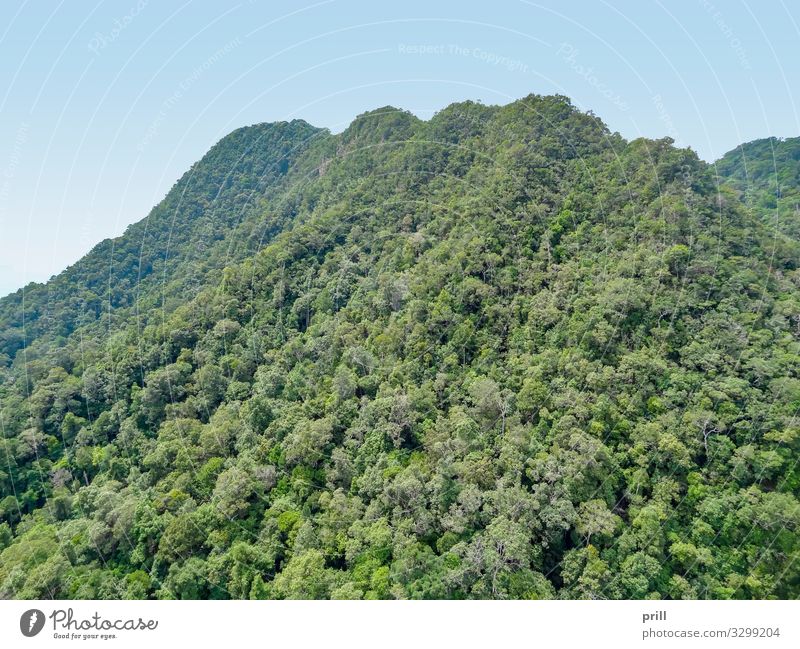 overgrown mountains at Langkawi Berge u. Gebirge Natur Landschaft Pflanze Baum Wald Urwald Hügel Holz Umweltschutz bewachsen Malaysia kedah natürlich sonnig