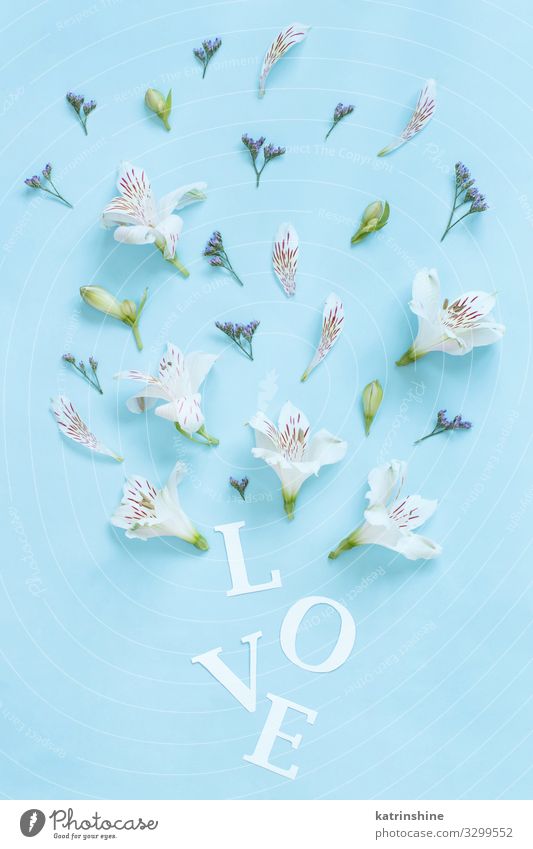 Blumen und das Wort LOVE auf hellblauem Hintergrund Design Dekoration & Verzierung Hochzeit Frau Erwachsene Mutter oben weiß Kreativität romantisch hell-blau