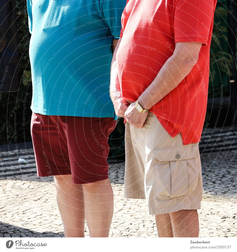 Last men standing Ferien & Urlaub & Reisen Tourismus Ausflug Sightseeing Mann Erwachsene Bauch 2 Mensch 45-60 Jahre Polohemd Shorts stehen dick Neugier blau rot