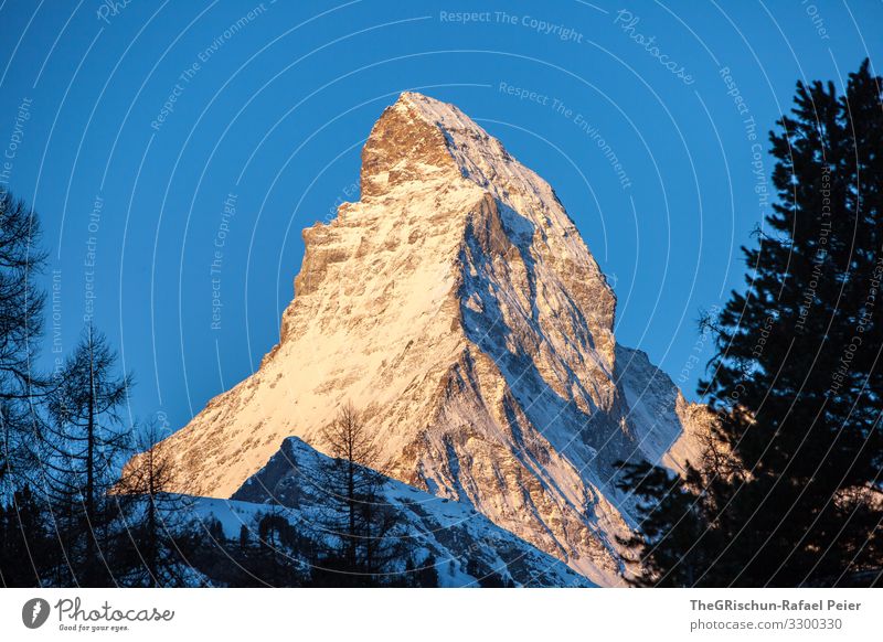 Matterhorn - s'Horu Natur ästhetisch Schweiz Tourismus geschätzt Ikonen Bekanntheit Strukturen & Formen Baum Sonnenaufgang Kanton Wallis Zermatt Schatten
