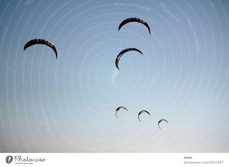 Windakrobaten Sport Wassersport Himmel Schönes Wetter Luftverkehr Fluggerät Kiter Kiteboard entdecken Erholung fliegen Freude Glück Lebensfreude Leidenschaft