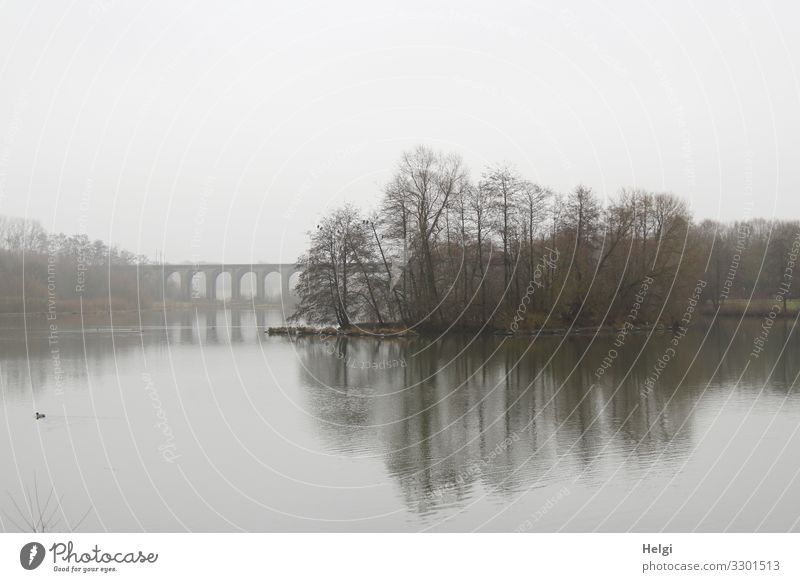 See im Nebel mit Bäumen,Brücke  und Spiegelung Umwelt Natur Landschaft Pflanze Wasser Himmel Wolken Winter Baum Seeufer Bauwerk Viadukt stehen authentisch
