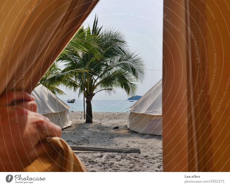 Blick ins Paradies Freizeit & Hobby Reisefotografie Tipi Sand Luft Wasser Schönes Wetter Palme Meer Indischer Ozean Insel frei frisch natürlich einfach Freiheit