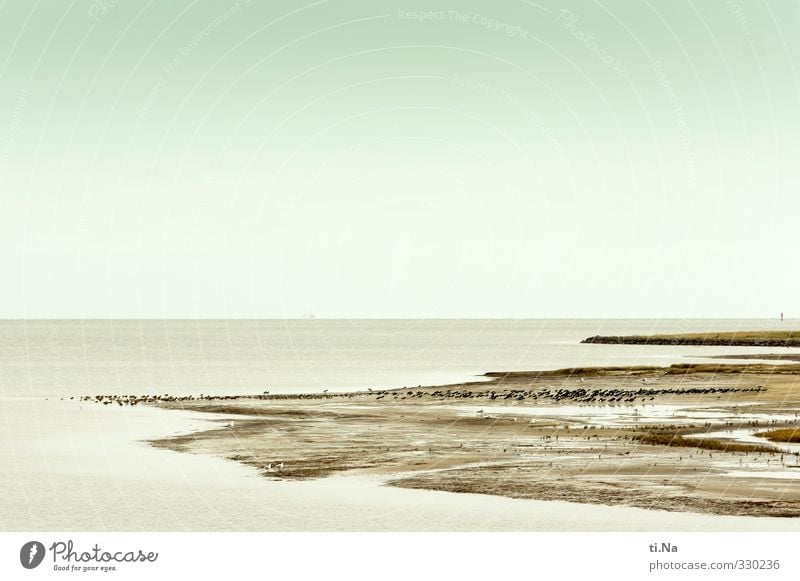 Rømø | Freiheit Landschaft Luft Wasser Frühling Küste Strand Nordsee Wattenmeer Erholung warten außergewöhnlich Unendlichkeit natürlich wild blau grau grün