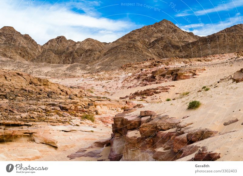 Wüstenschlucht vor dem Hintergrund von Bergen in Ägypten exotisch Ferien & Urlaub & Reisen Tourismus Sommer Berge u. Gebirge Natur Landschaft Sand Wärme Felsen