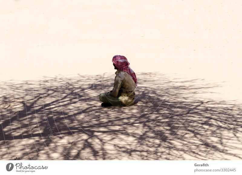 Beduine beten im Schatten eines Baumes in der Wüste in Ägypten Sommer Mensch Mann Erwachsene Natur Sand Bekleidung Schal sitzen schwarz Religion & Glaube
