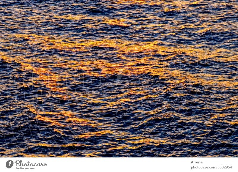 rote Welle Urelemente Wasser Sonnenaufgang Sonnenuntergang Schönes Wetter Wellen Meer Freundlichkeit glänzend Unendlichkeit blau gold orange beruhigend sanft