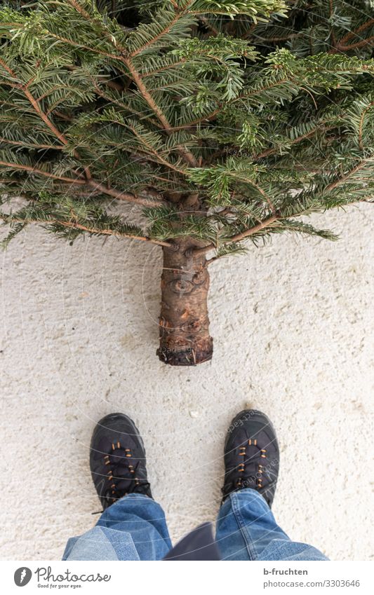 Ende der Weihnachtszeit Freizeit & Hobby Weihnachten & Advent Wirtschaft Business Fuß 1 Mensch Baum Jeanshose Schuhe Turnschuh wählen gebrauchen beobachten