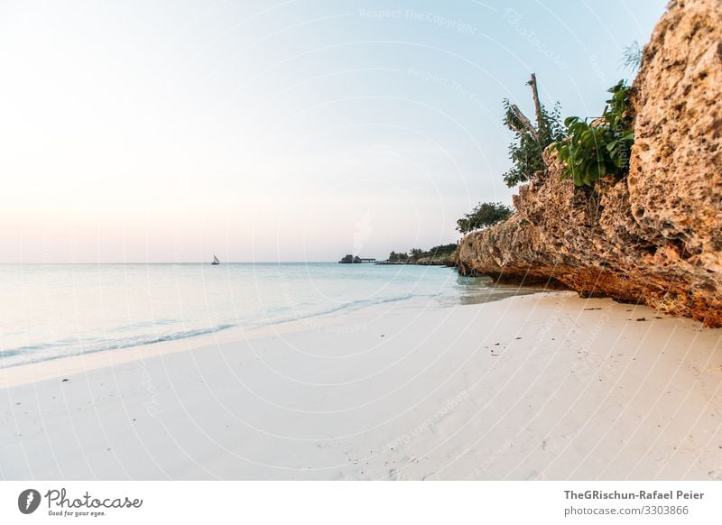 Strand auf Sansibar Farbfoto Außenaufnahme Afrika Wasser Sommer Erholung Abendstimmung Ferien & Urlaub & Reisen Natur Sand Meer Tansania Felsen Horizont Schiff