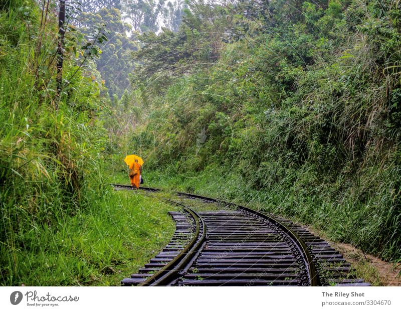 Ein Mönch wandert entlang der Ella Trainlines, Sri Lanka. schön Ferien & Urlaub & Reisen Tourismus Ausflug Frau Erwachsene Mann Landschaft Gras Urwald Verkehr
