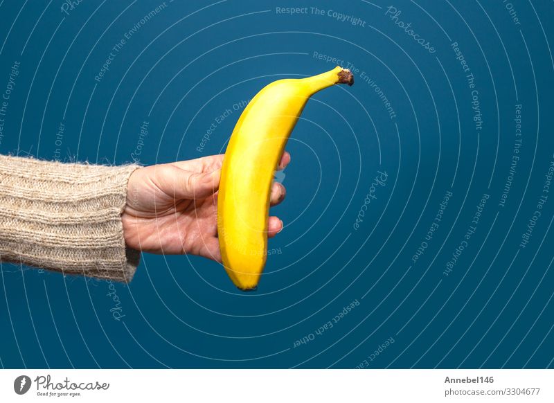 Hand hält gelbe Bananenfrucht blaue Wand Frucht Dessert Ernährung Frühstück Vegetarische Ernährung Diät Design Sommer Mensch Frau Erwachsene Mann Finger Natur
