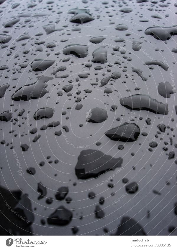 drips schlechtes Wetter Regen ästhetisch elegant nass schwarz bizarr einzigartig Klima Netzwerk Ordnung Perspektive Symmetrie Wassertropfen Pfütze Farbfoto