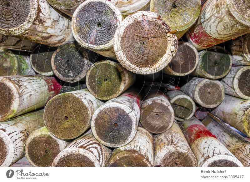 Ein Haufen Holzpfähle, rot und weiß gestrichen abstrakt Hintergrund braun kreisen Farbe geschnitten Detailaufnahme handgefertigt Industrie Totholz Abholzung