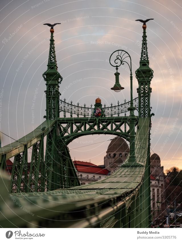 Freiheitsbrücke in Budapest Himmel Wolken Herbst Hauptstadt Stadtzentrum Brücke Wahrzeichen Szabadság Híd Straßenverkehr Metall Stahl alt ästhetisch elegant