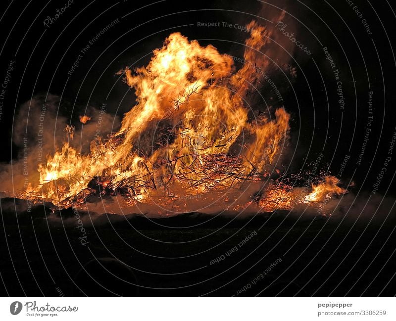 Feuer Freizeit & Hobby Abenteuer Nachtleben Ostern Urelemente Feld Bewegung leuchten bedrohlich heiß Wärme Warmherzigkeit gefährlich Energie Feuerstelle