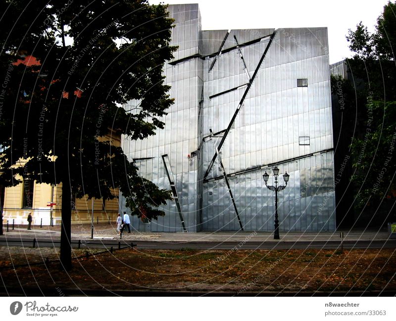 Jüdisches Museum Berlin Kunst Licht Laterne Baum Blatt Architektur modern Zink silber Schatten Daniel Libeskind Vergangenheit