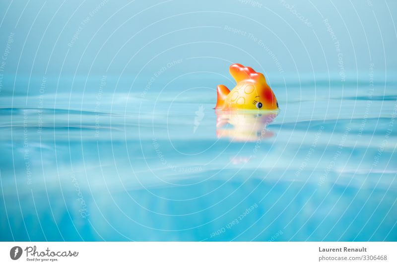 Süßes Spielzeug Fische beim Baden im Schwimmbad Freude Spielen Ferien & Urlaub & Reisen Sommer Kunststoff genießen blau Hintergrund übersichtlich Entwurf Kopie