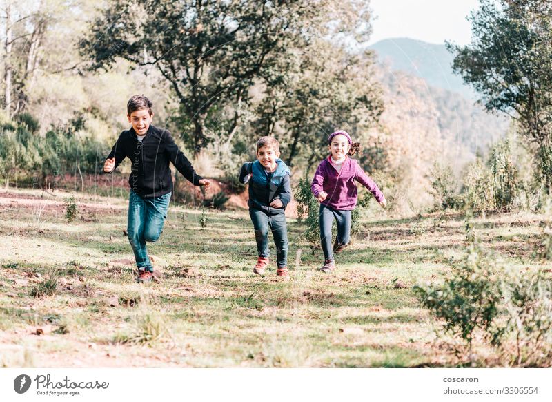 Drei süße Kinder laufen und werfen eine Wiese Lifestyle Freude Glück schön Freizeit & Hobby Spielen Ferien & Urlaub & Reisen Freiheit Sommer Sport Mensch